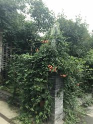 -YUEYAR PHOTO摄影