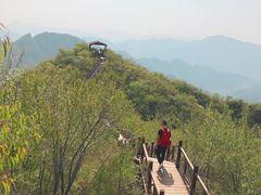 -大岭沟猕猴桃谷风景区