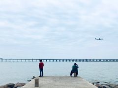 -宝安西湾红树林湿地公园