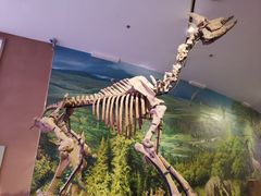 -陕西自然博物馆