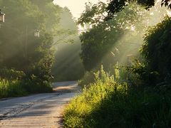 -八角饮楼(虹桥店)