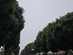 -特克斯八卦城
