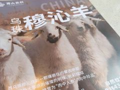 -圆山胜利碳火铜锅涮肉(马甸桥店)