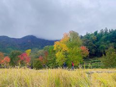 -塔川景区