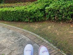 -天目湖涵田度假村