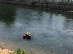 -杭州双溪漂流景区