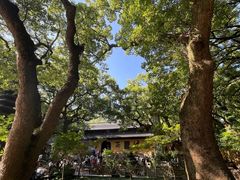 -普陀山风景名胜区-法雨禅寺