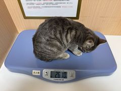 -谐和贝康宠物医院24小时·宠保定点(急重症转诊中心)