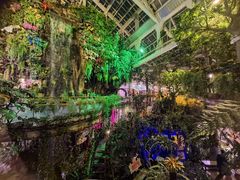 -正佳雨林生态植物园