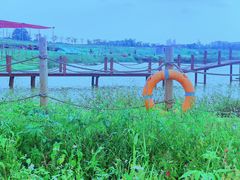 -光明小镇欢乐田园