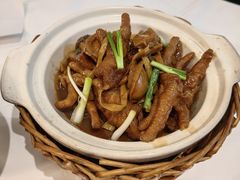 东坡鲍鱼焖凤爪-南麓·浙里(外滩店)