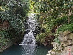 -十八棵（老龙井）御茶园(老龙井店)