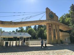 -五营红松林海景区