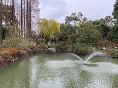 -上海醉白池公园