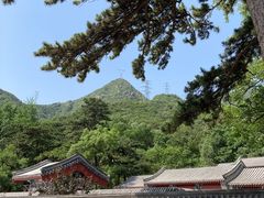 -阳台山自然风景区