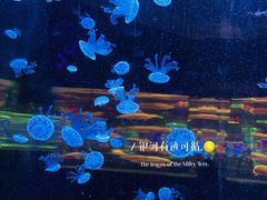 -杭州野生动物世界