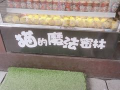 -猫的魔法密林(衣裳街店)