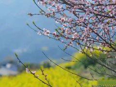 -石潭村