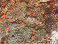 -一方渔歌蒸汽海鲜自助(文化路万达广场店)