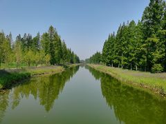 -黄海国家森林公园