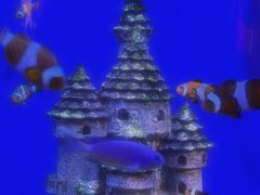 -海合安武汉极地海洋公园