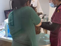 -艾贝尔宠物医院·24H转诊中心·肿瘤猫专科(江宁双龙店)