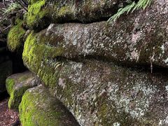 -汤旺河林海奇石景区