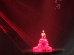-成都金融城演艺中心