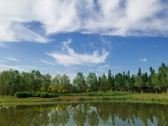 -东郊湿地公园