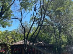 -太阳宫公园