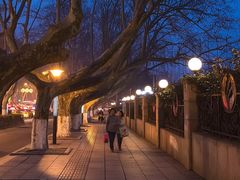 -南京维景国际大酒店(南京博物院店)