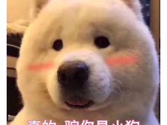 -华夏太古巨幕影城(贺龙广场店)