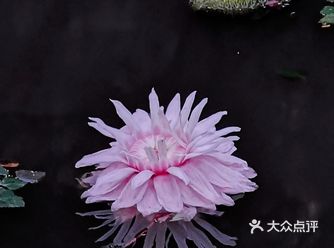 五点半后，可以拍晚霞映湖面，景观不大，幽静伊人