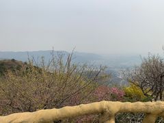 -鬼笑石后山停车场