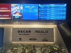 -奥斯卡升龙国际影城(RealD Cinema)