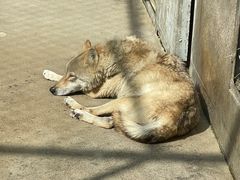 -西安秦岭野生动物园