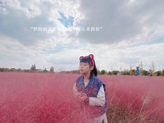 -鹅湖玫瑰文化园