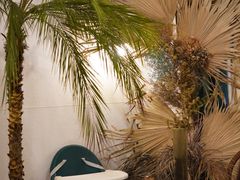 -The Good Place好地方·Brunch·coffee(国贸店)
