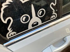 -山河屯铁锅炖(哈西站店)