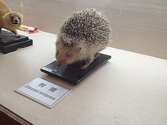 -下渚湖国家湿地公园科普馆