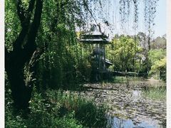 -金鸡湖桃花岛