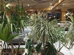 -云里小坐·海泉湾·团建·宴席·下午茶(金堂海泉湾店)
