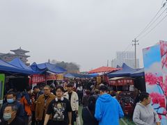 -西安青龙寺遗址景区