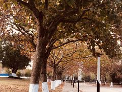 -上海第二工业大学(金海路校区)
