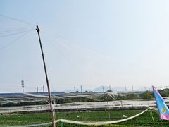 -光明小镇欢乐田园