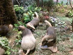 -陕西自然博物馆