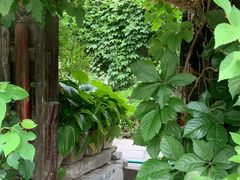 -斯多格书乡(北京大学畅春园店)