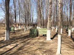 -亲兄弟真人CS团建拓展基地