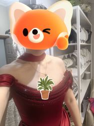 -尚美霓裳晚礼服·合唱服·舞蹈演出服租赁定制