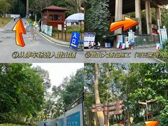 -阳台山森林公园